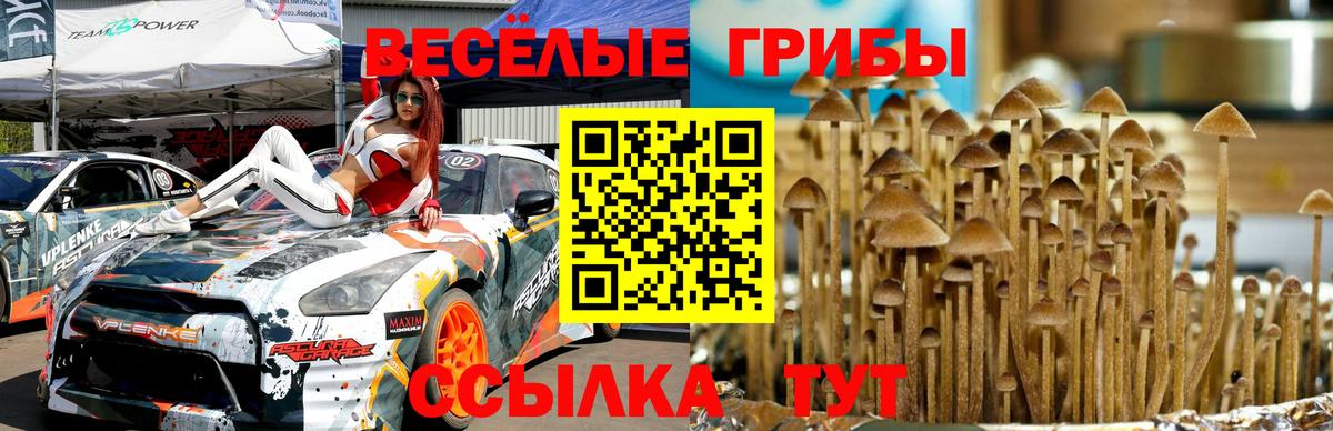 Галлюциногенные грибы Psilocybe  Вход с VPN  Саки 