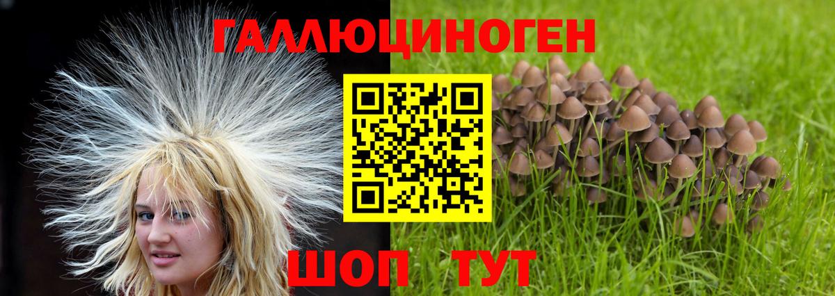 Псилоцибиновые грибы мухоморы Саки